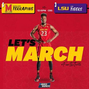 Image post by @terrapinhoops on Instagram