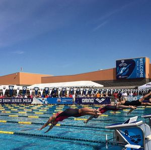 Image post by @arenausa on Instagram