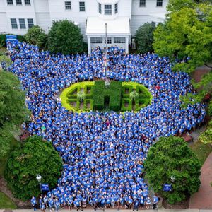 Image post by @hofstrau on Instagram