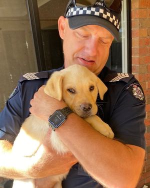 Image post by @victoriapolice on Instagram