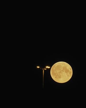 Image post by @vsco on Instagram