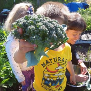 Image post by @kidsgardening on Instagram