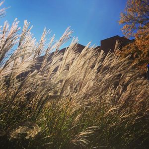 Image post by @umbclife on Instagram