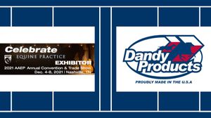 Image post by @dandyproducts on Instagram