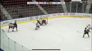 Image post by @bosak_goaltending on Instagram