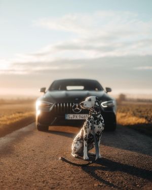 Image post by @mercedesbenz on Instagram