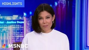 Video post by @msnbc on YouTube