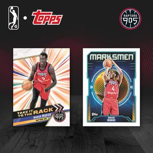 Image post by @Raptors905 on Twitter