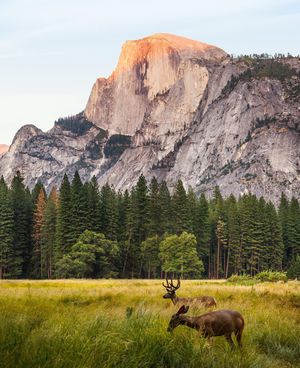 Image post by @kqed on Instagram