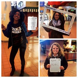 Image post by @hofstrau on Instagram