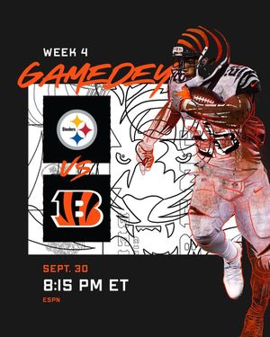 Image post by @bengals on Instagram