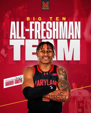 Image post by @terrapinhoops on Instagram