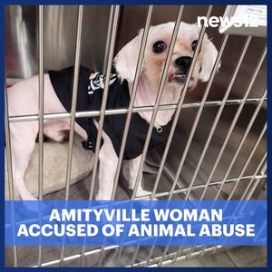 Image post by @news12li on Instagram