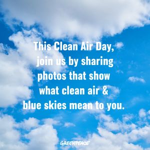 Image post by @Greenpeace on Twitter