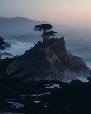 Image post by @vsco on Instagram