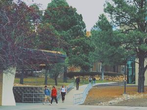Image post by @nauflagstaff on Instagram