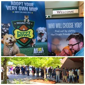 Image post by @animalplanet on Instagram