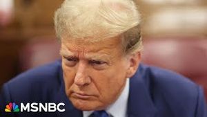 Video post by @msnbc on YouTube
