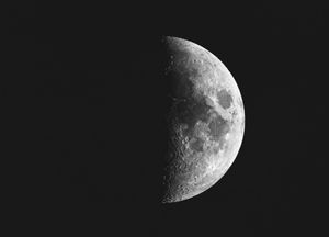 Image post by @canoncoak on Instagram