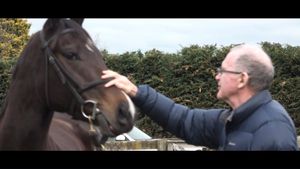 Image post by @NZHorseAmbulanceTrust on Facebook