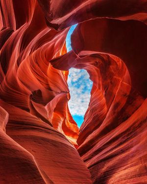 Image post by @discovery on Instagram