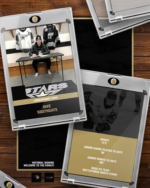 Image post by @luhockey_ncaa on Instagram