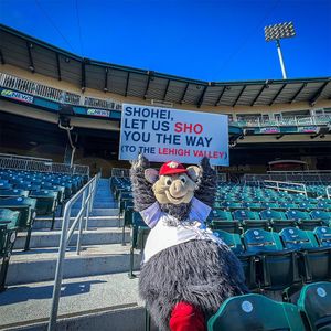 Image post by @lhvironpigs on Instagram
