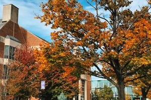 Image post by @olivetnazarene on Instagram