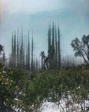 Image post by @ucscadmissions on Instagram