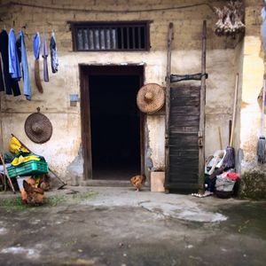Image post by @itsimani on Instagram