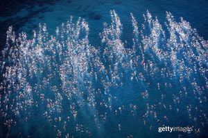 Image post by @gettysport on Instagram