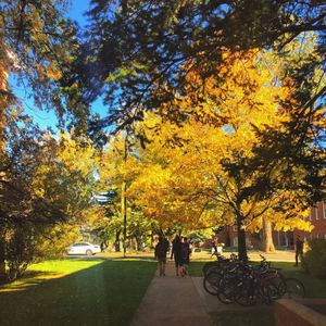 Image post by @nauflagstaff on Instagram