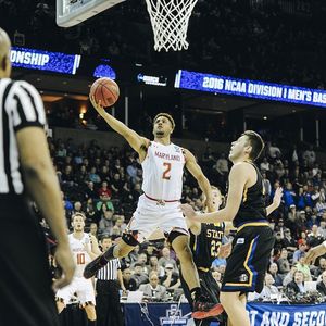 Image post by @terrapinhoops on Instagram
