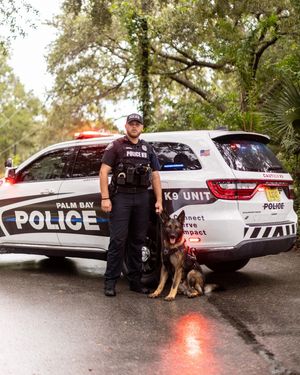 Image post by @palmbaypd on Instagram
