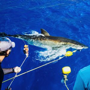 Image post by @discovery on Instagram
