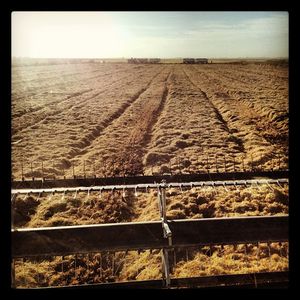 Image post by @lundbergfarms on Instagram