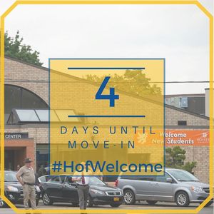 Image post by @hofstrau on Instagram
