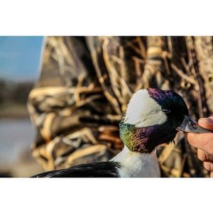 Image post by @nextridgemedia on Instagram