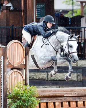 Image post by @gracescreative on Instagram