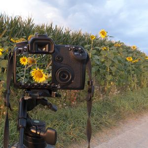 Image post by @kidsgardening on Instagram