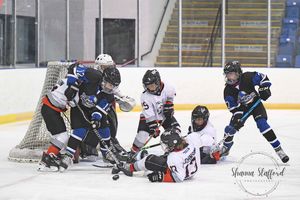 Image post by @shanna_staffordphotography on Instagram