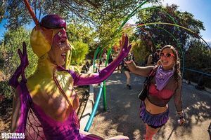 Image post by @nocturnalwland on Instagram