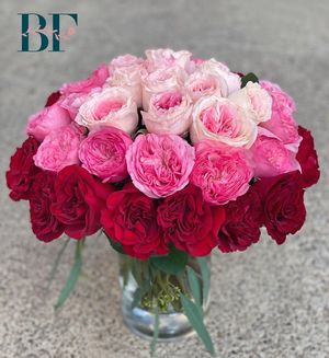 Image post by @bonita_flowers on Instagram