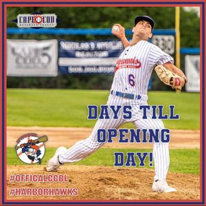 Image post by @harborhawks on Instagram