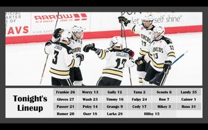 Image post by @wmu_hockey on Instagram