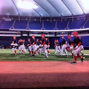 Image post by @utahbaseball on Instagram