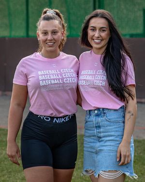 Image post by @BaseballCzech on Twitter