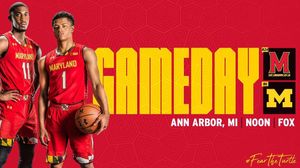 Image post by @terrapinhoops on Instagram