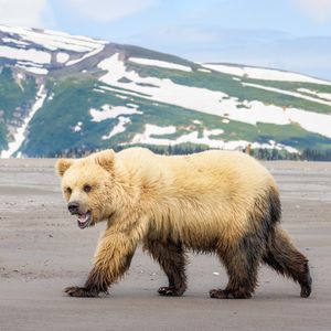 Image post by @discovery on Instagram