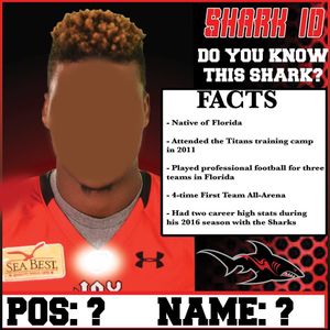 Image post by @jaxsharks on Instagram